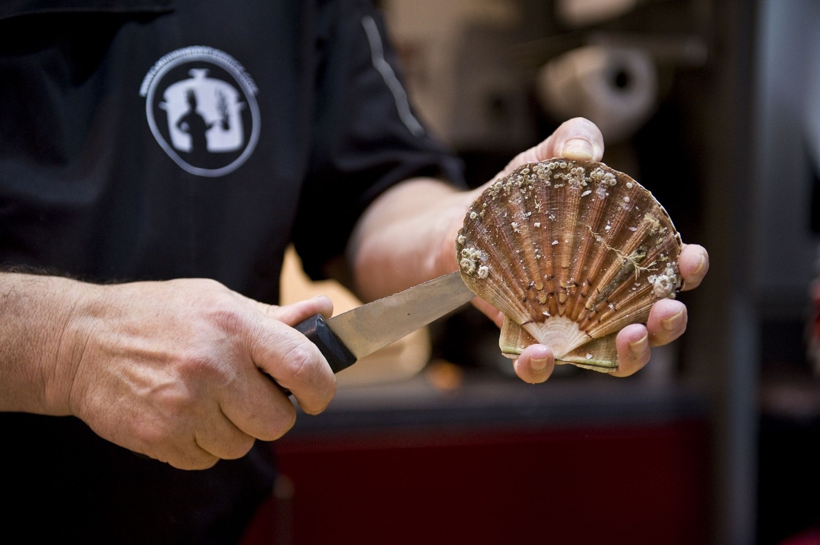 LE chef prépare des coquilles saint jacques pour le repas